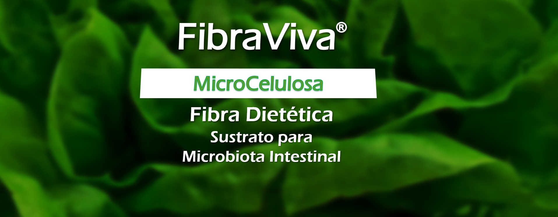 Microcelulosa FibraViva - Producto para salud intestinal